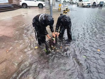 <b>各级防汛责任人下沉一线迅速落实应汛措施，本轮强降雨临沂城市积水快速消退</b>